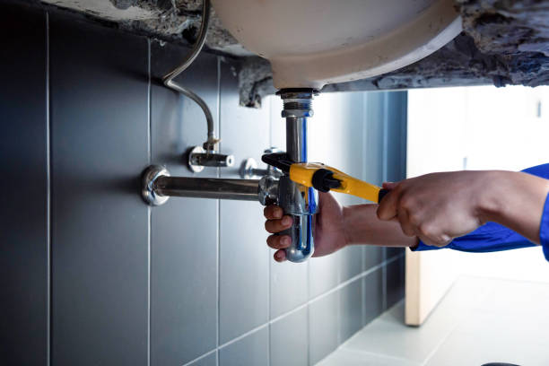 Best Garbage Disposal Repair and Installation  in Haysville, KS